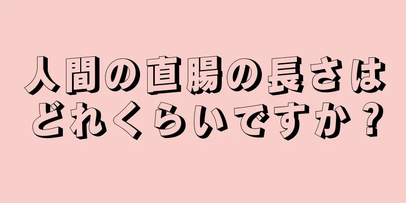 人間の直腸の長さはどれくらいですか？