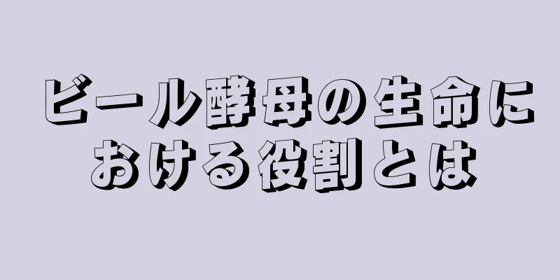 ビール酵母の生命における役割とは