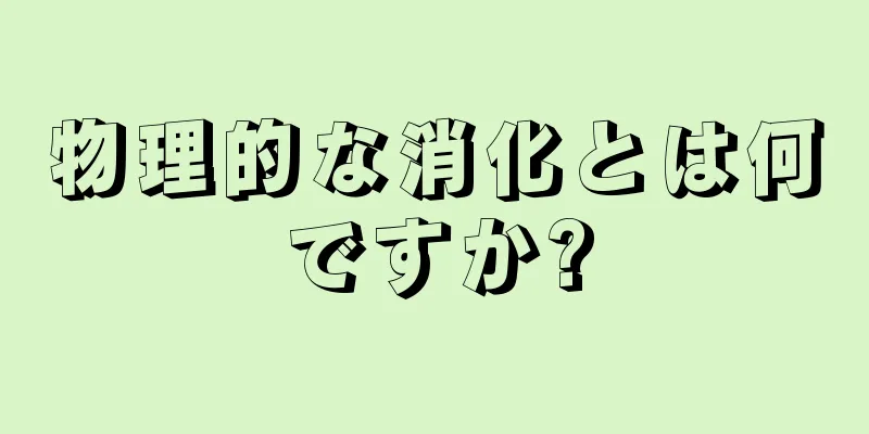 物理的な消化とは何ですか?