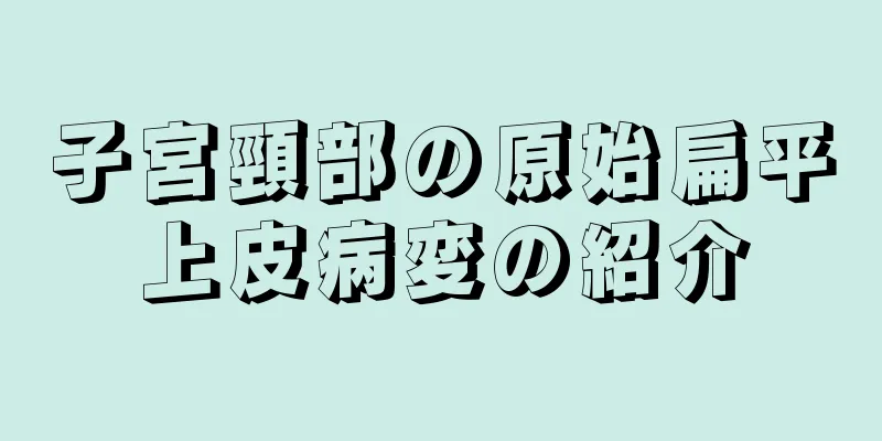 子宮頸部の原始扁平上皮病変の紹介