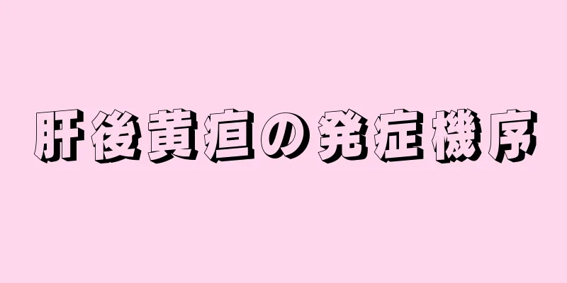 肝後黄疸の発症機序