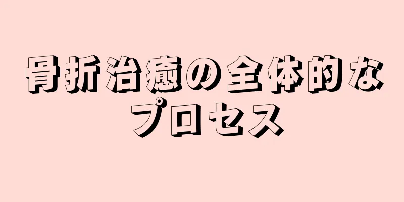 骨折治癒の全体的なプロセス