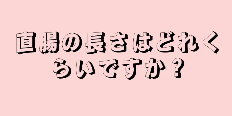 直腸の長さはどれくらいですか？