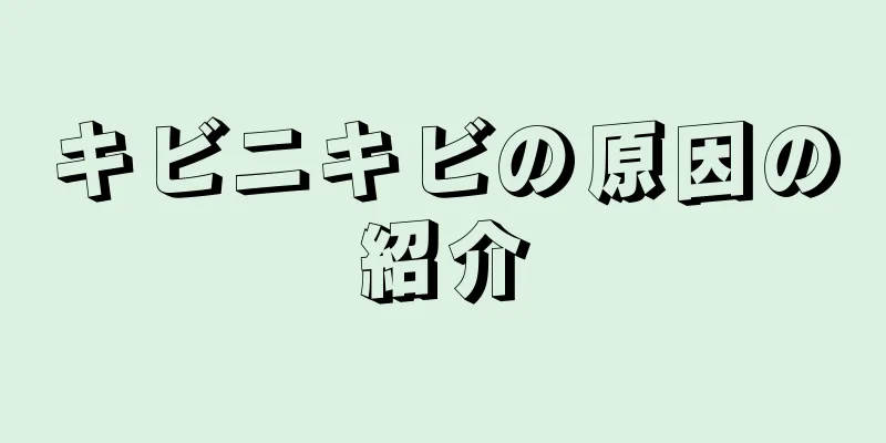 キビニキビの原因の紹介