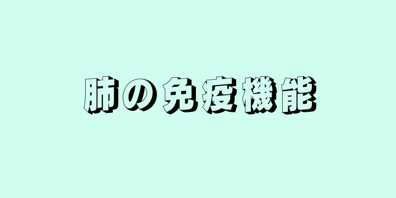 肺の免疫機能