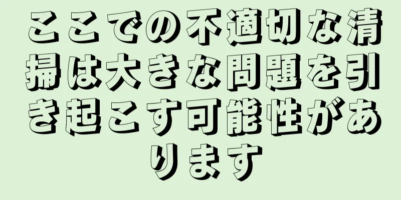 ここでの不適切な清掃は大きな問題を引き起こす可能性があります