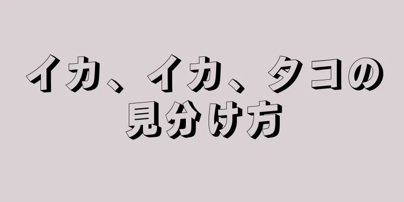 イカ、イカ、タコの見分け方