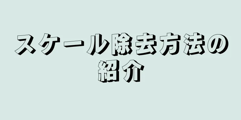 スケール除去方法の紹介