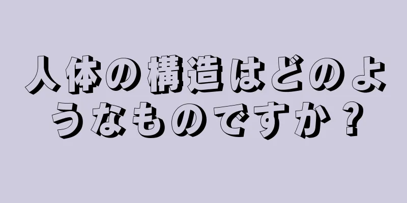 人体の構造はどのようなものですか？