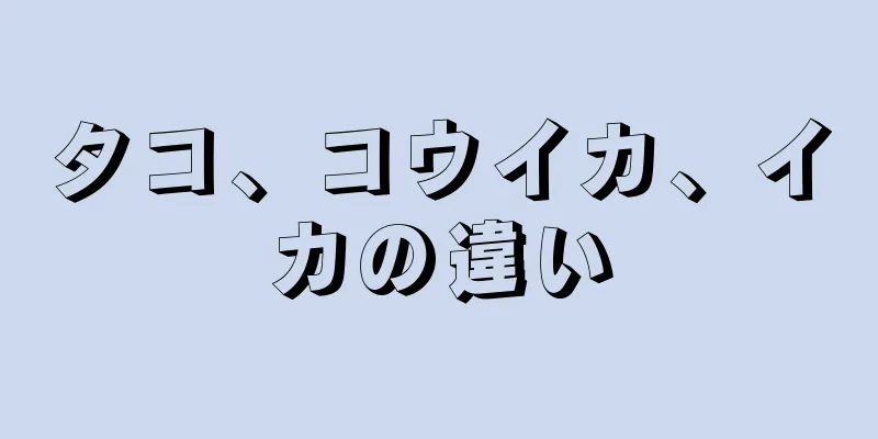 タコ、コウイカ、イカの違い