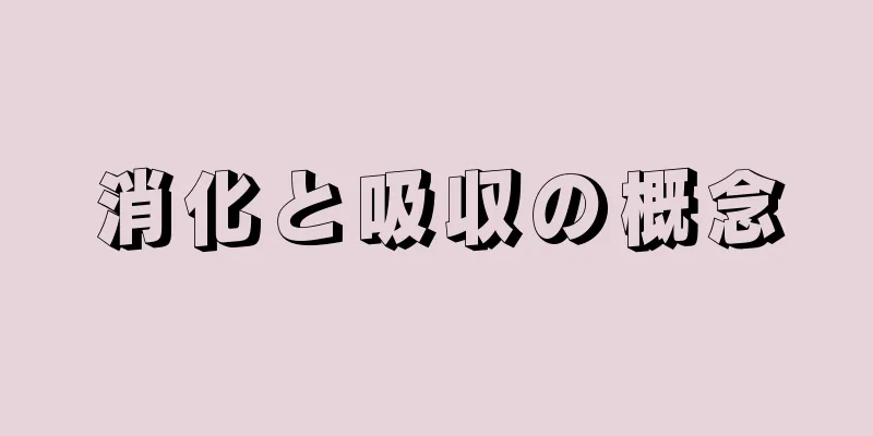 消化と吸収の概念