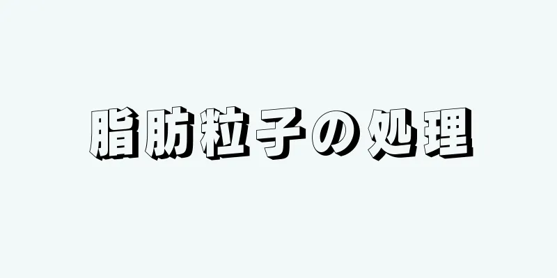 脂肪粒子の処理