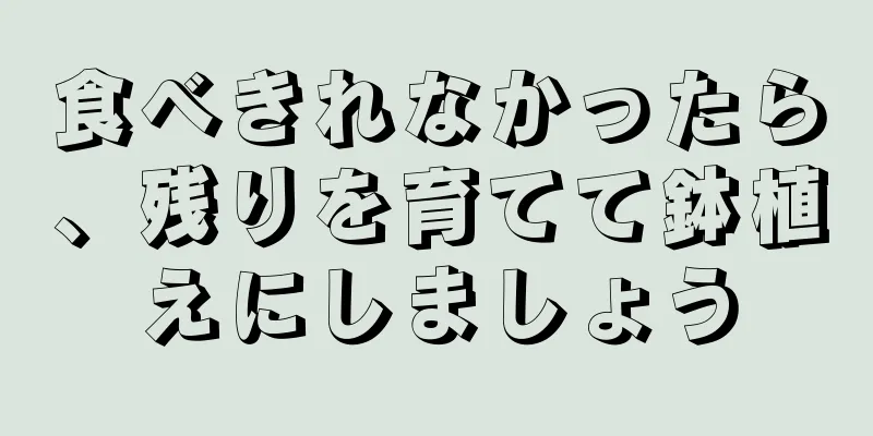 食べきれなかったら、残りを育てて鉢植えにしましょう