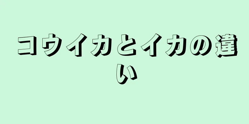 コウイカとイカの違い