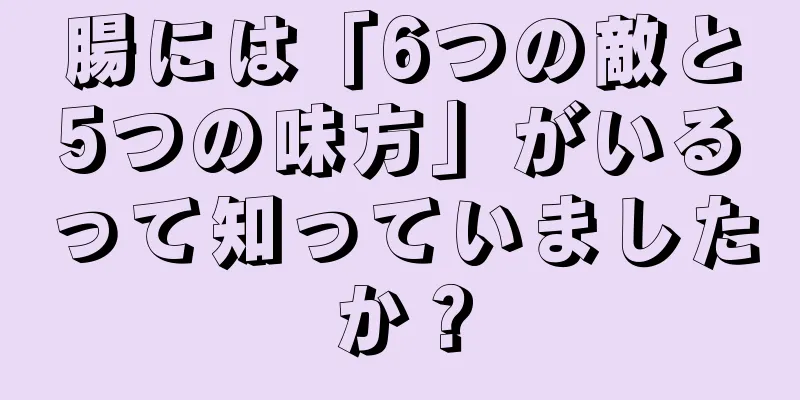 腸には「6つの敵と5つの味方」がいるって知っていましたか？