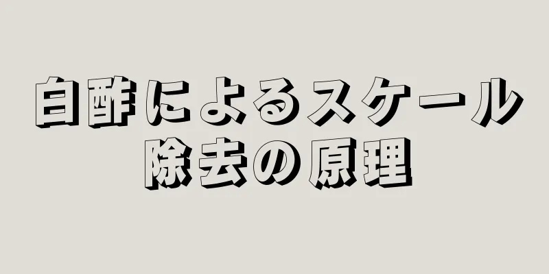 白酢によるスケール除去の原理