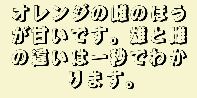 オレンジの雌のほうが甘いです。雄と雌の違いは一秒でわかります。