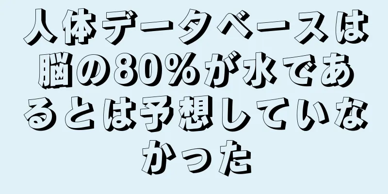 人体データベースは脳の80%が水であるとは予想していなかった