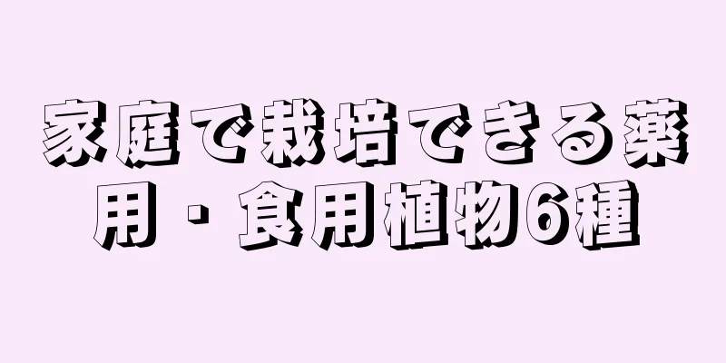 家庭で栽培できる薬用・食用植物6種