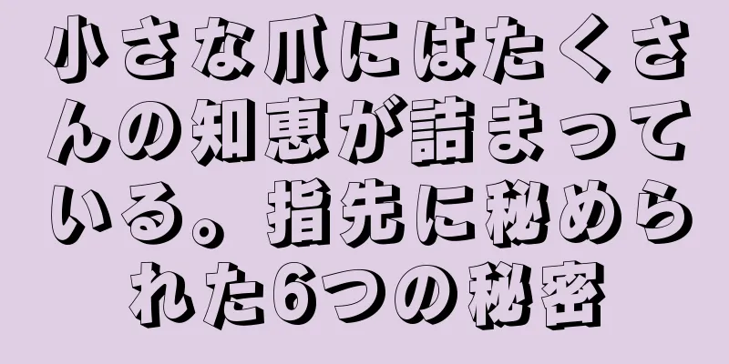 小さな爪にはたくさんの知恵が詰まっている。指先に秘められた6つの秘密