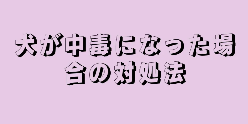 犬が中毒になった場合の対処法