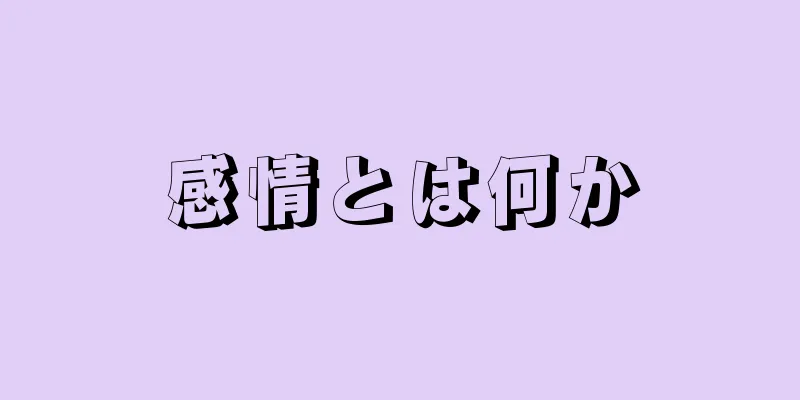 感情とは何か