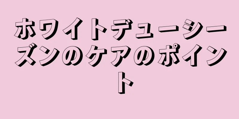 ホワイトデューシーズンのケアのポイント