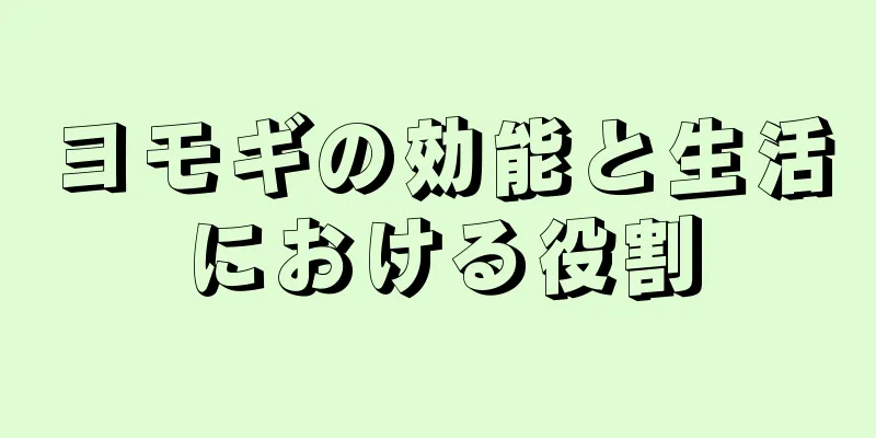 ヨモギの効能と生活における役割