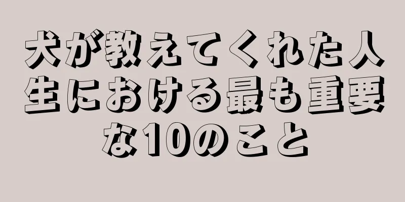 犬が教えてくれた人生における最も重要な10のこと