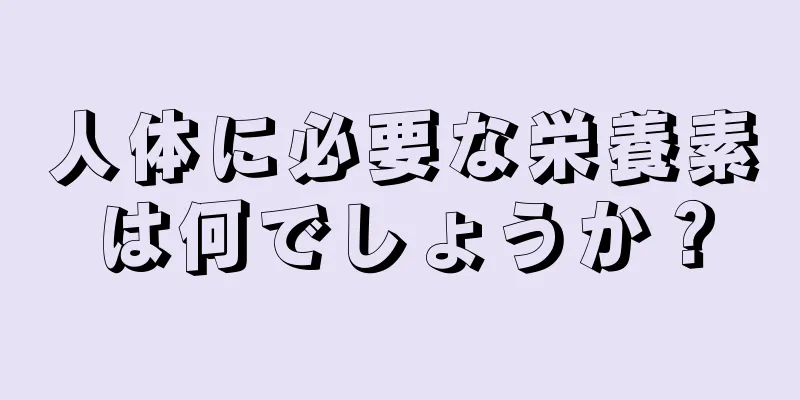 人体に必要な栄養素は何でしょうか？