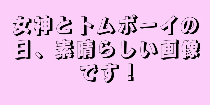 女神とトムボーイの日、素晴らしい画像です！