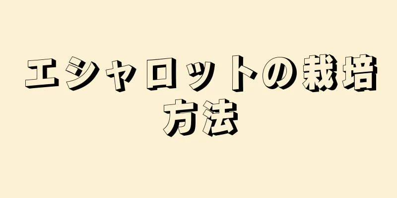 エシャロットの栽培方法