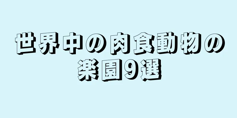 世界中の肉食動物の楽園9選