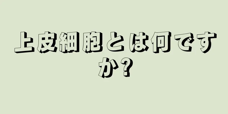 上皮細胞とは何ですか?