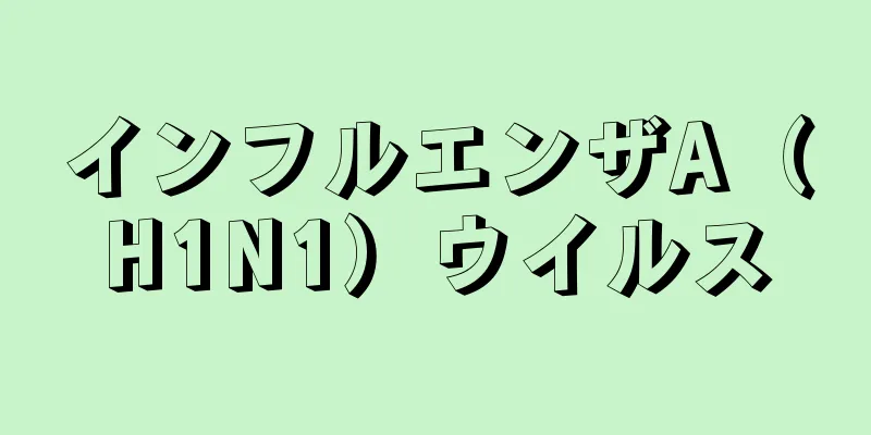 インフルエンザA（H1N1）ウイルス