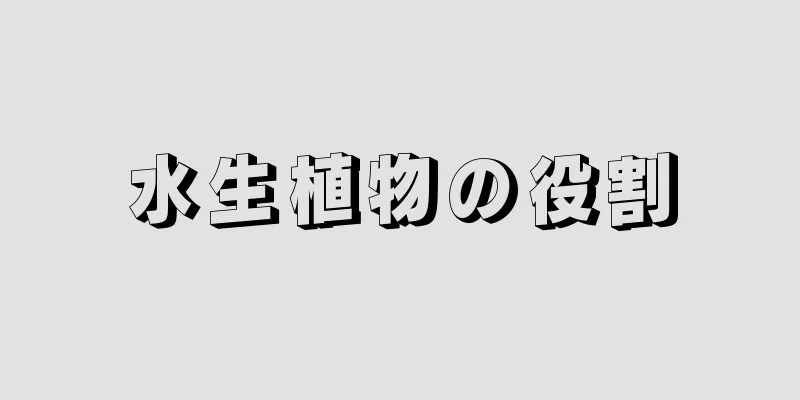 水生植物の役割