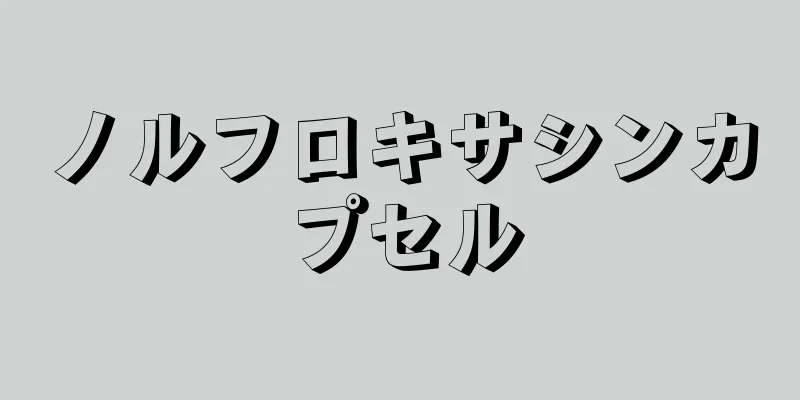 ノルフロキサシンカプセル