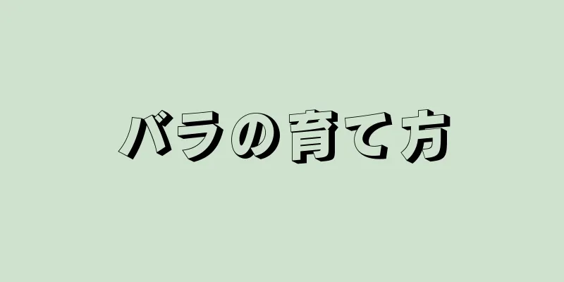 バラの育て方