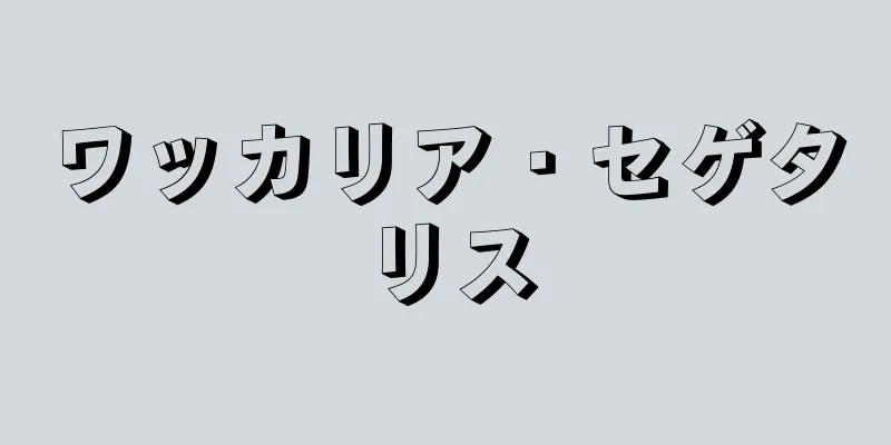 ワッカリア・セゲタリス