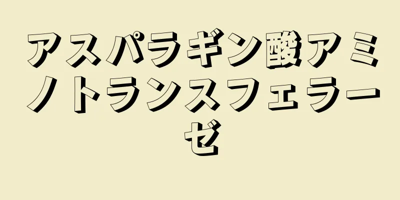 アスパラギン酸アミノトランスフェラーゼ