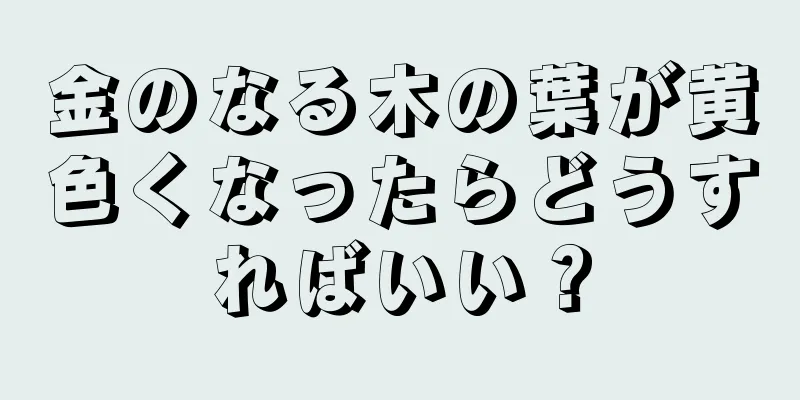 金のなる木の葉が黄色くなったらどうすればいい？