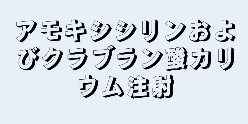 アモキシシリンおよびクラブラン酸カリウム注射