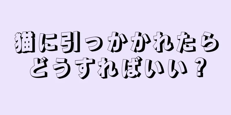 猫に引っかかれたらどうすればいい？