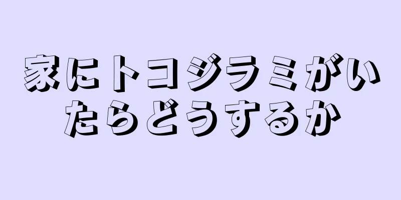 家にトコジラミがいたらどうするか