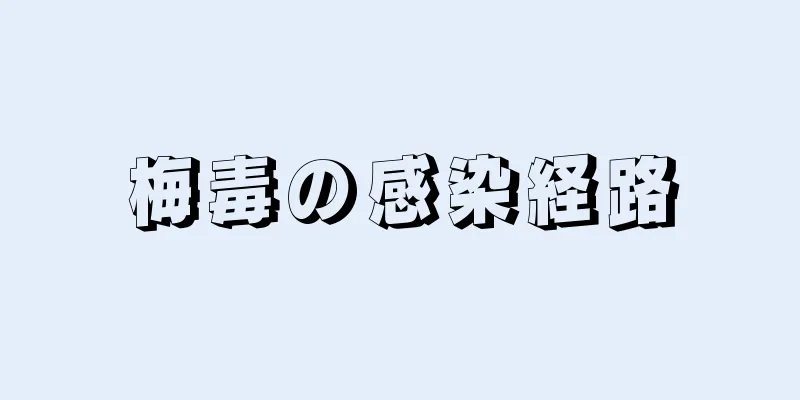 梅毒の感染経路