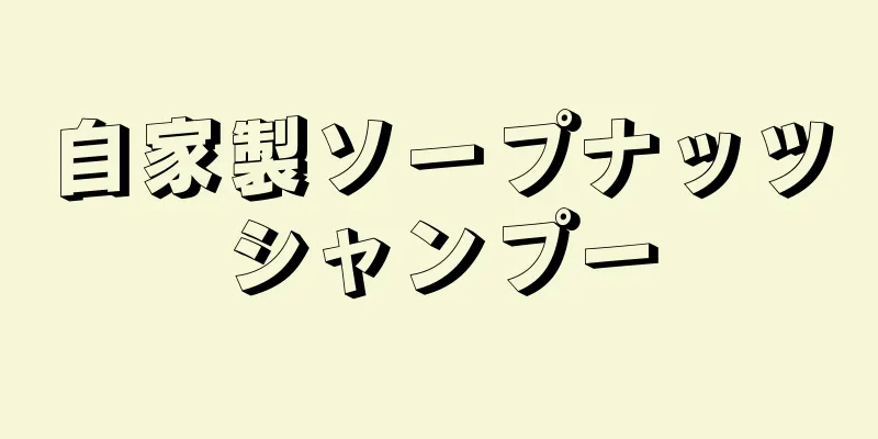 自家製ソープナッツシャンプー