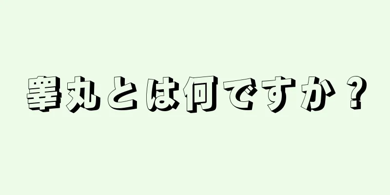 睾丸とは何ですか？