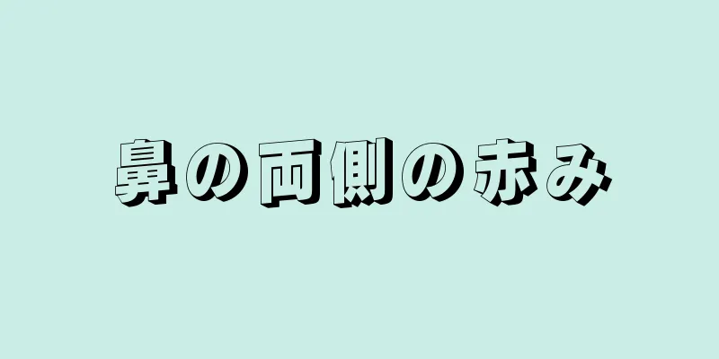 鼻の両側の赤み