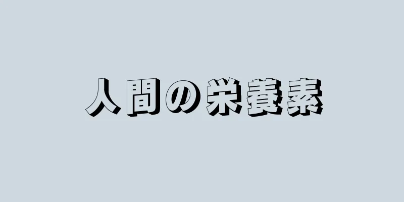 人間の栄養素