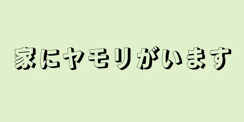 家にヤモリがいます